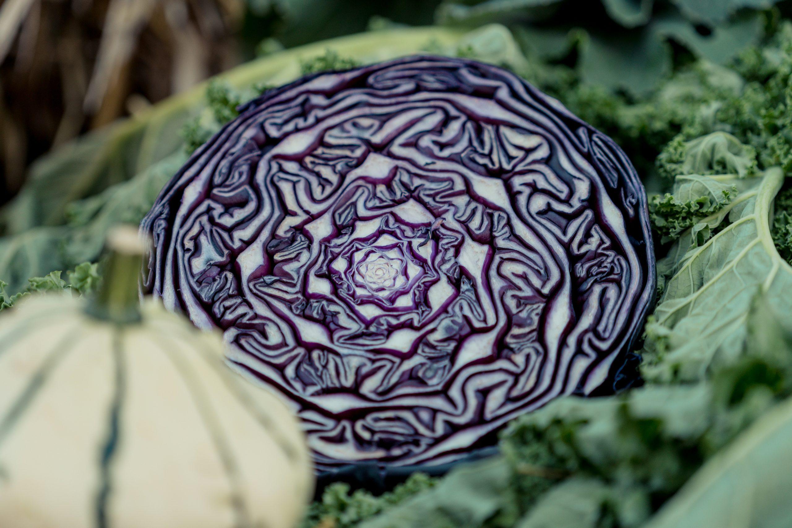 The open face of a red cabbage that has been cut in half resting on a bed of vegetation including green kale.